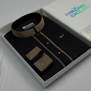 Indian Simple Embodery Panjabi